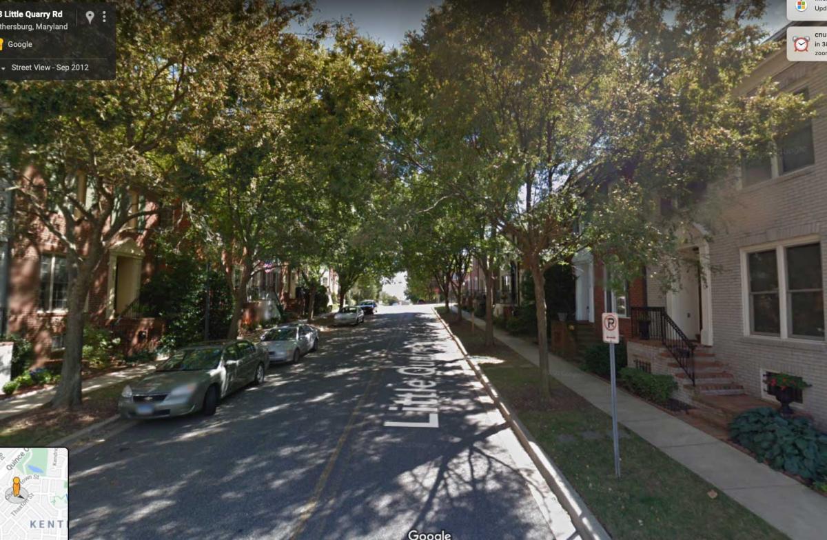 Tree canopy in Kentlands, a new urban development in Gaithersburg, Maryland. Google view.