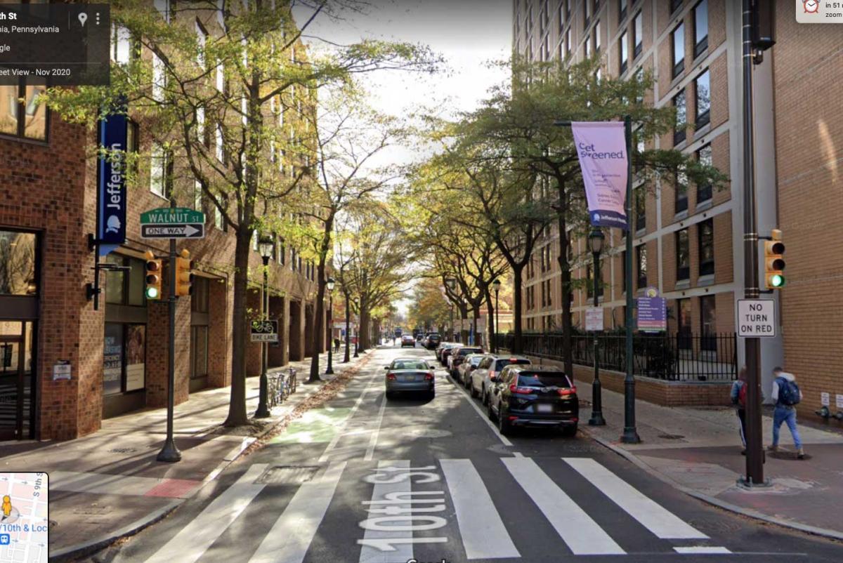 Trees in spring on 10th Street in Philadelphia, show typical plantings on a tight urban street.